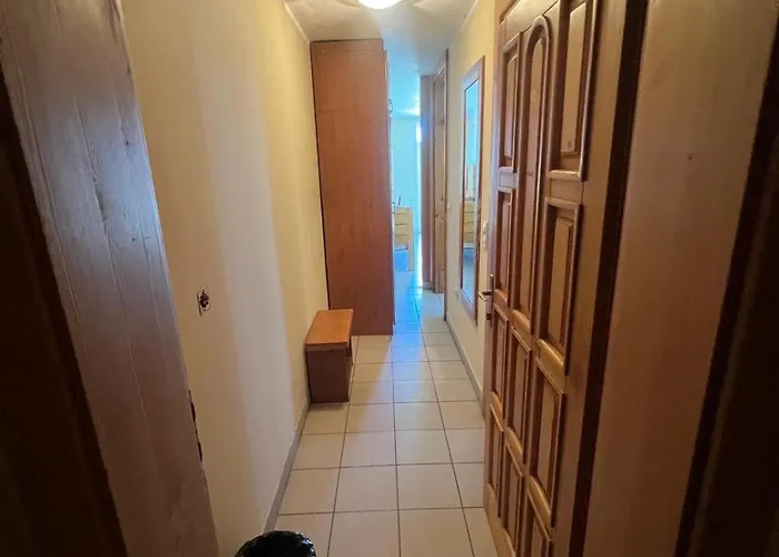 Prenociste Drinic Novi Sad